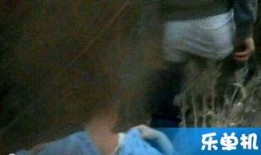 国产免费的野战视频