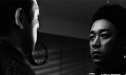 好看的国产视频,盘点国产影视佳作，共赏视觉盛宴