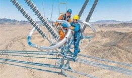 偷自国产,偷自国产生态发展之路