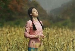 青青草国产电影,国产电影中的青春记忆与成长轨迹