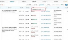 国产v网站,探索中国网络文化新篇章