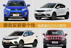 精品国产自,探索我国自主创新的辉煌成就